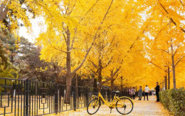 11月旅游攻略 十一月份不可辜负的晚秋美景