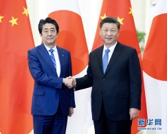 习近平会见日本首相安倍晋三