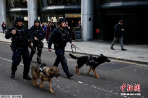 英官员称恐怖主义威胁未减少 2月通过立法