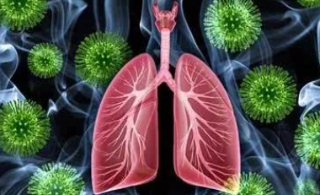 为何病毒和细菌易攻击肺脏呢？专家告诉你