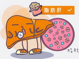 该如何控制或预防脂肪肝呢 从这三方面管理