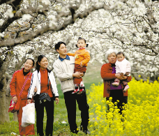 3月鲜花正盛开 赏花需防花粉过敏