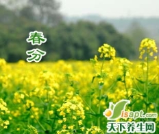 跟着时节学会养生：春分养生禁忌全攻略