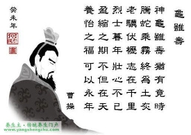 从《龟虽寿》破解曹操的养生观