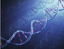 中国建世界级基因库 基因测序惹关注