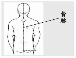 什么养生指南最科学？初春晒太阳去百毒