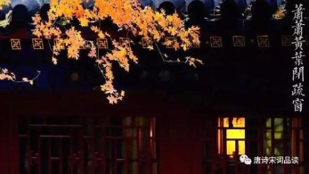 论悼亡 纳兰容若“当时只道是寻常”心碎
