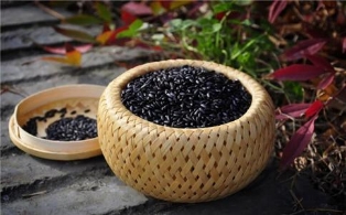 养生误区：黑色食物一定补肾吗