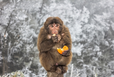 中国冬季的五个童话世界 处处不逊色于雪乡