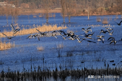 隐藏在云南各地的这5处绝世美景 你去过几个