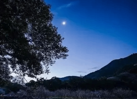 辛弃疾的一首词 把一个寻常场景 写成了千古佳作