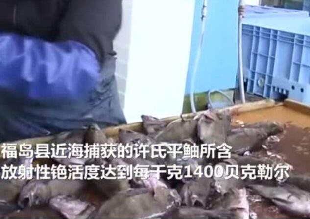 日本暂停一种辐射超标的海鱼上市销售