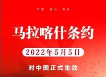 马拉喀什条约对我国生效 惠及千万阅读障碍者