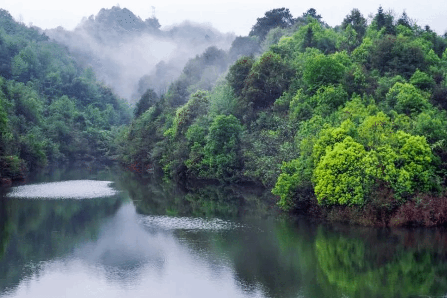 六首静心诗词：修一颗静心 守人生清明