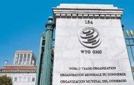 世贸组织报告：2022年全球贸易表现好于预期
