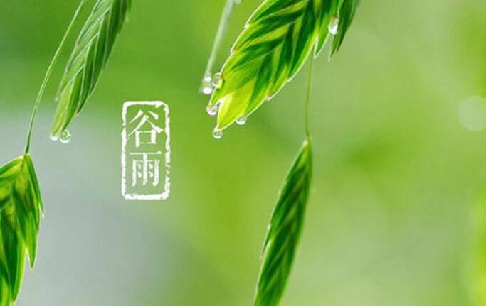 【谷雨养生篇】天未尽热湿气盛！防止湿邪伤人 我们该做点什么