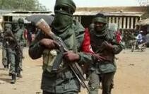 尼日尔武装部队遇袭造成至少17人死亡