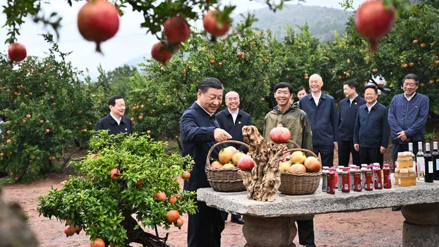 习近平在浙江考察时强调 始终干在实处走在前列勇立潮头 奋力谱写中国式现代化浙江新篇章 返京途中在山东枣庄考察