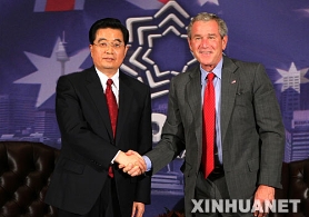 胡锦涛会见美国总统布什