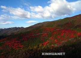 京郊秋景美如画[组图]