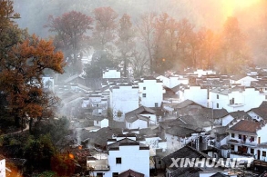 婺源冬景醉游人 [组图]