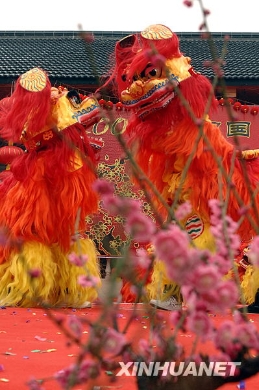 梅花飘香 [组图]