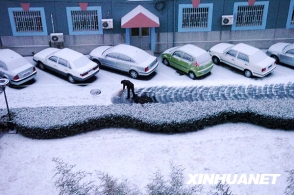 京城喜降春雪 [组图]