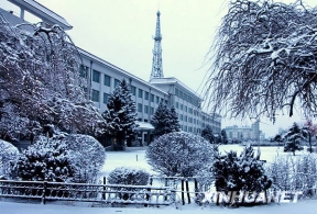 å†…è’™å¤å…´å®‰ç›ŸæŒç»­é™é›ªè¶…è¿‡24å°æ—¶ [ç»„å›¾]