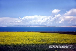 青海湖上好风光 [组图]