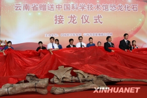 云南省向中国科技馆赠送三具国宝级恐龙化石 [图]