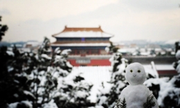 登高瞰雪