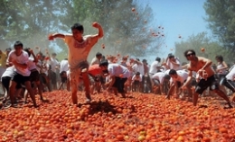 智利举行“番茄大战” 狂砸30吨番茄(高清组图)