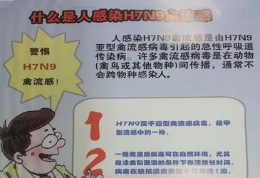 预防人感染H7N9禽流感科普挂图出版