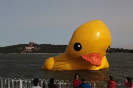 北京颐和园大黄鸭放气：呈饼状在湖面漂浮