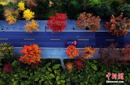 航拍杭州初冬：多彩风景绚烂如画