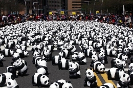 25万人参观台北街头“疯”熊猫