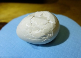 破裂鹦鹉蛋经胶带粘帖竟孵出小鸟