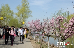 北京奥林匹克森林公园春花节盛装亮相