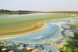 浙江余姚杭州湾海涂现七彩油污