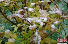 强冷空气入侵新疆多地降雪