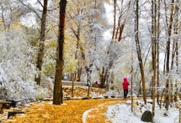 甘肃肃南雪景宛如“童话世界”