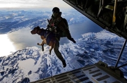 英国特种兵携带军犬从3000米高空跳伞