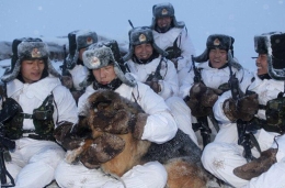 黑河哨兵迎风冒雪巡逻 怀抱军犬给其取暖