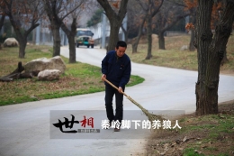 秦岭脚下的养狼人