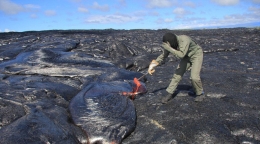 实拍科学家冒高温从火山取熔岩样本