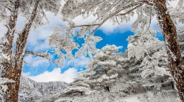 大理苍山雪景看醉游人 似冰封“水晶世界”