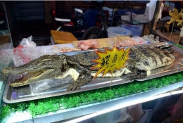 沈阳现鳄鱼肉烤串 20元一串引围观