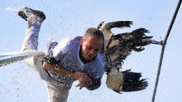 西班牙举行“鹅之日”活动 狂欢者争相扯鹅脖子