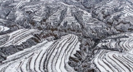 黄土高原降春雪 黑白分明如画卷