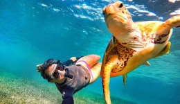 巴哈马美女潜水教练与各种水中生物自拍